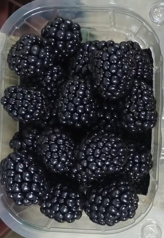 bberries in container