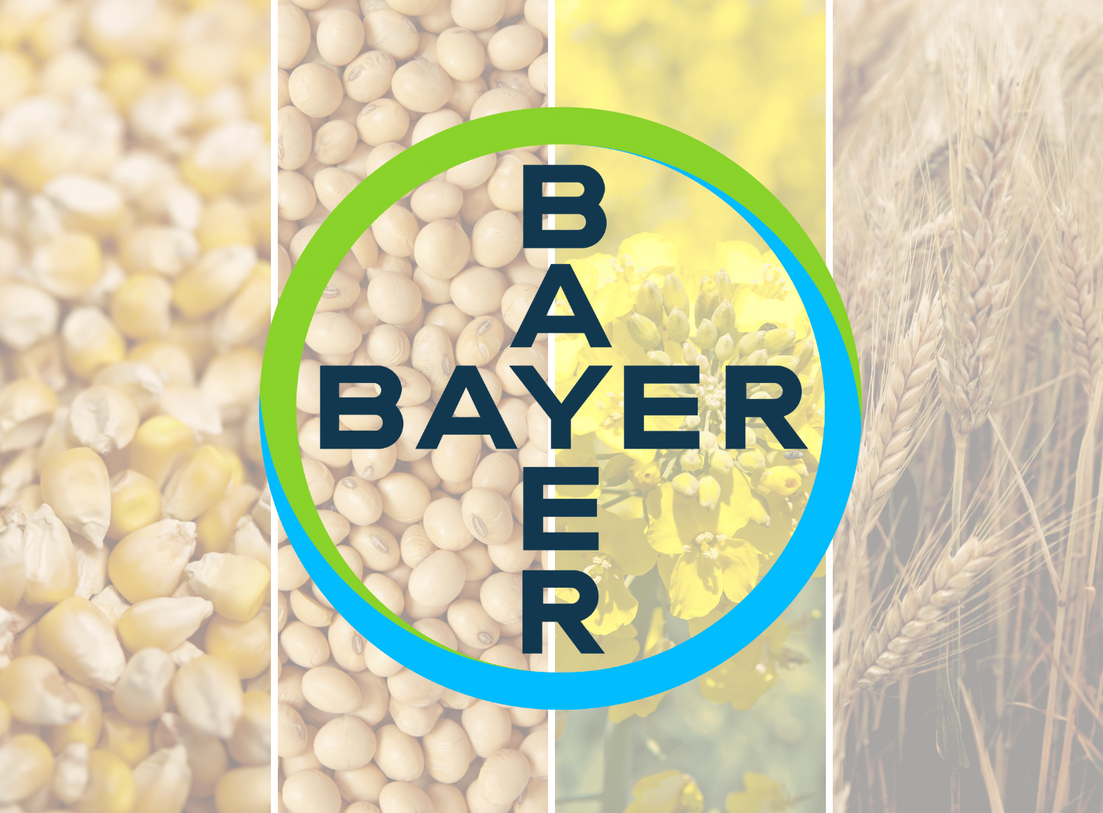 Licensing and Collabs Graphics - bayer 1