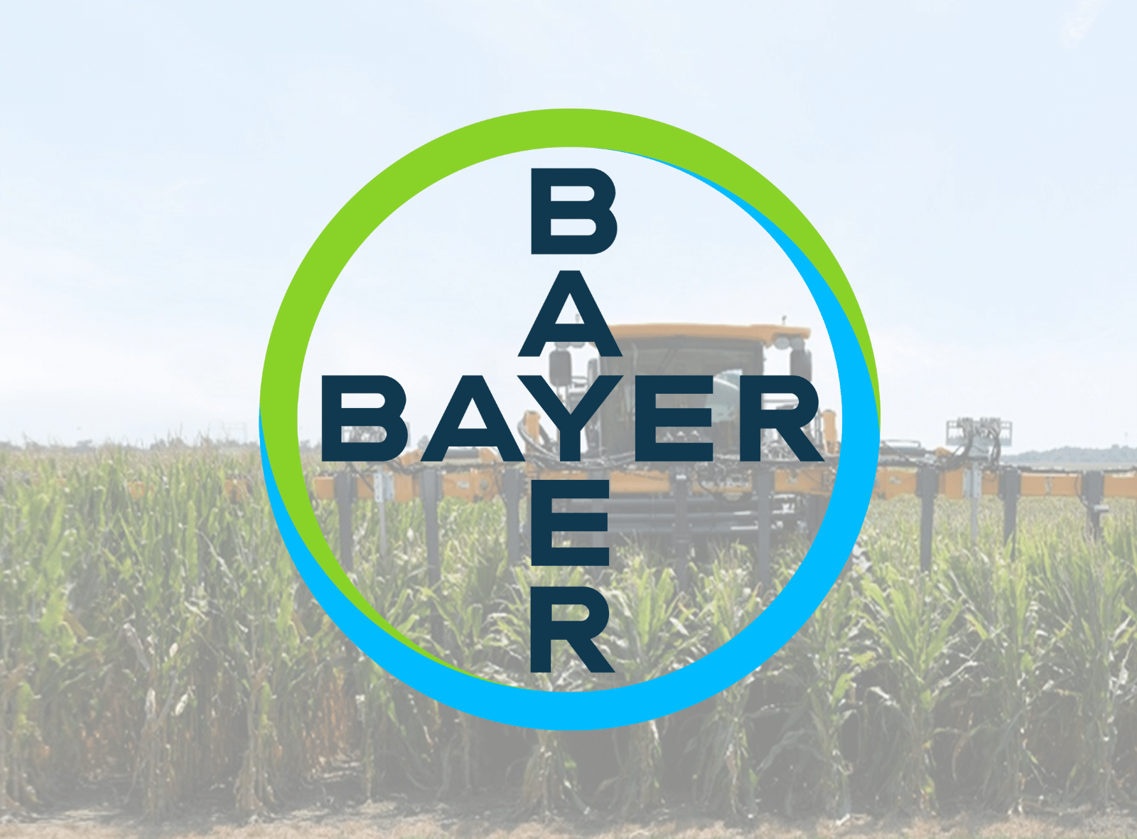 Licensing and Collabs Graphics - bayer